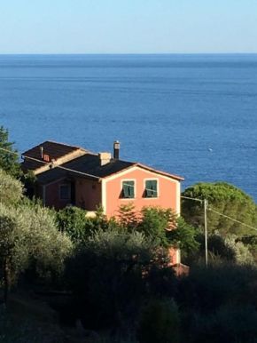 Seaside villa between Portofino and Cinque Terre Zoagli